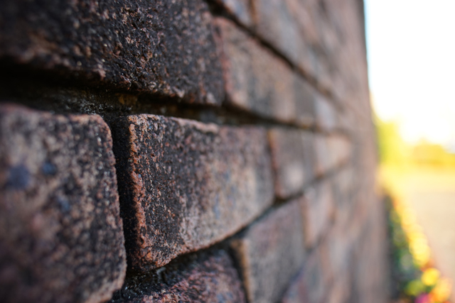 作例付き商品レビュー：Nikon AI AF Nikkor 28mm f/2.8D