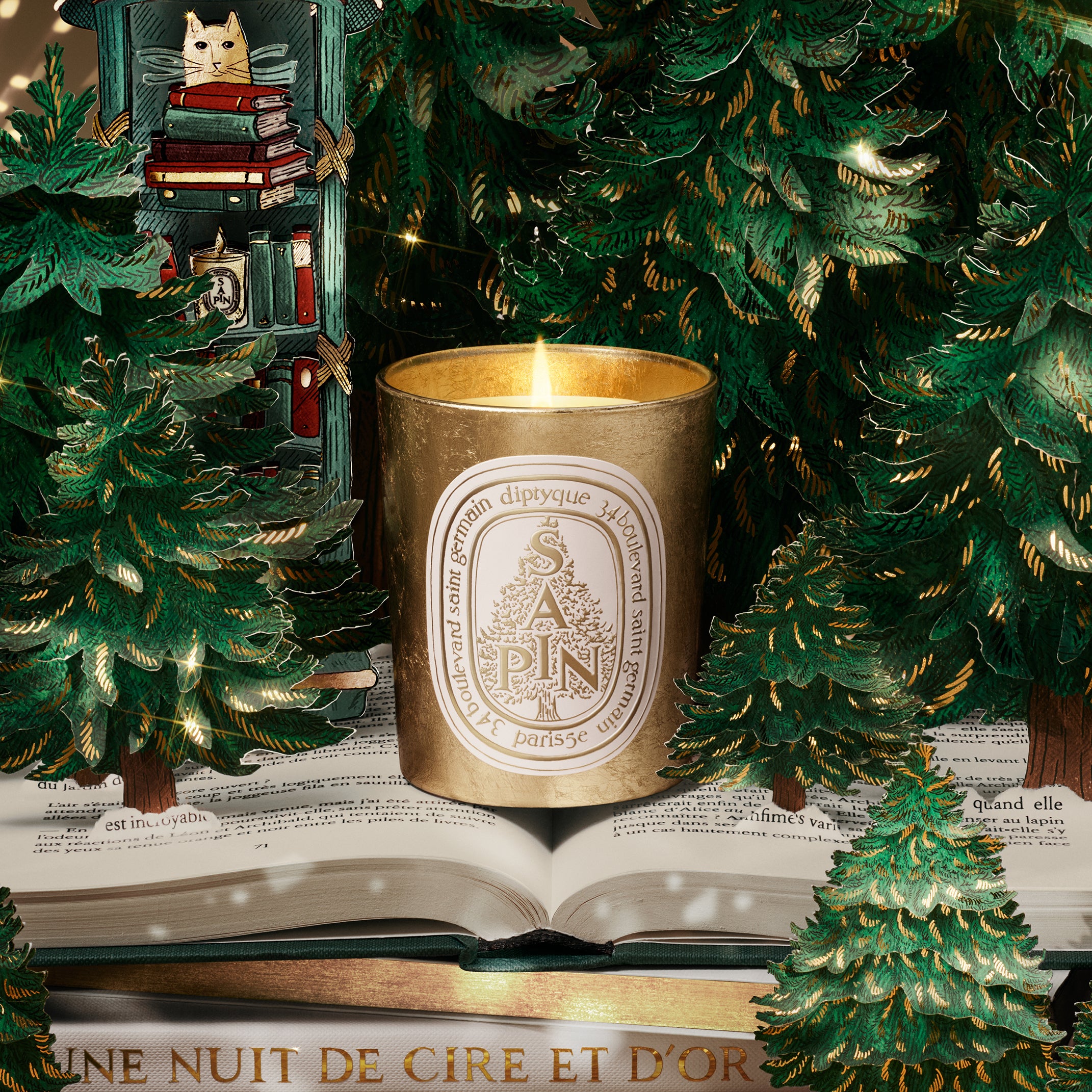 Diptyque - Sapine Candle (Pine Tree) | Candle Delirium