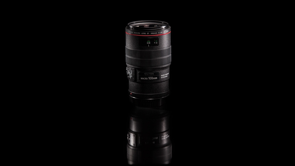 Review - Canon EF 100mm f/2.8L IS Macro - Your Best Source for