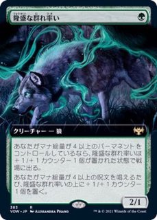 FOIL)ロフガフフの息子、ログラクフ/Rograkh, Son of Rohgahh《日本語