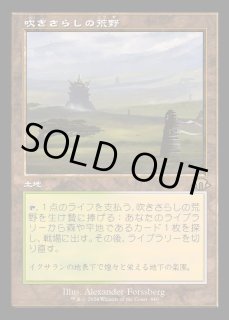 吹きさらしの荒野/Windswept Heath - カードラッシュ[MTG]