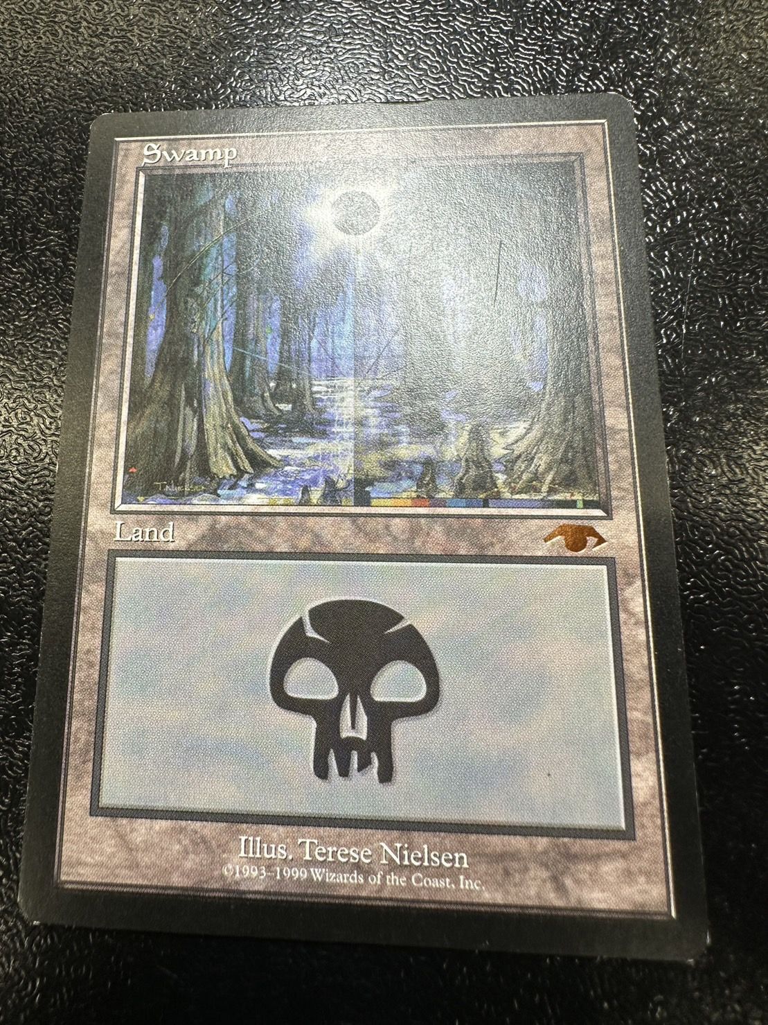 PLD]沼/Swamp《英語》【Guru Lands】#90