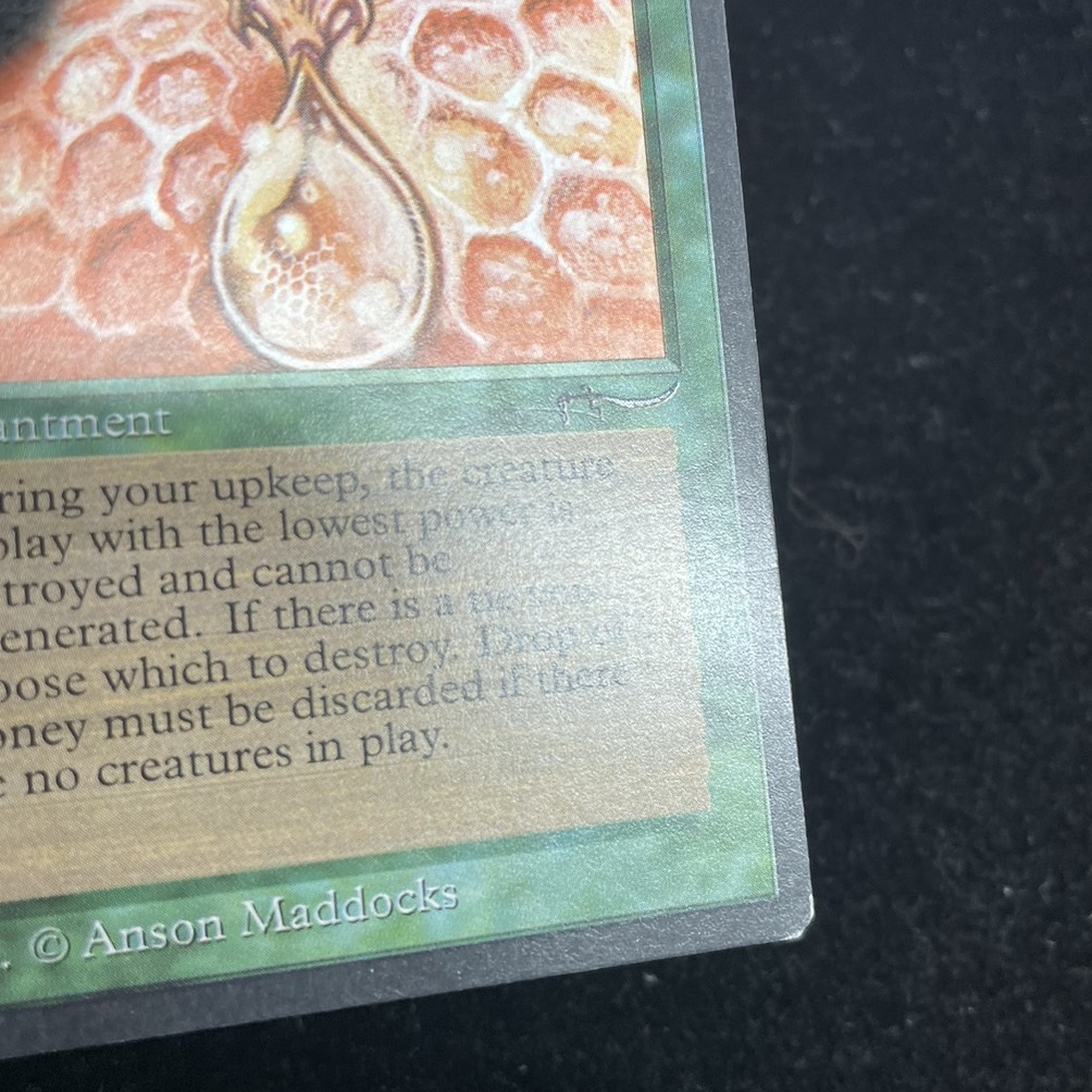 EX]Drop of Honey《英語》【ARN】#273