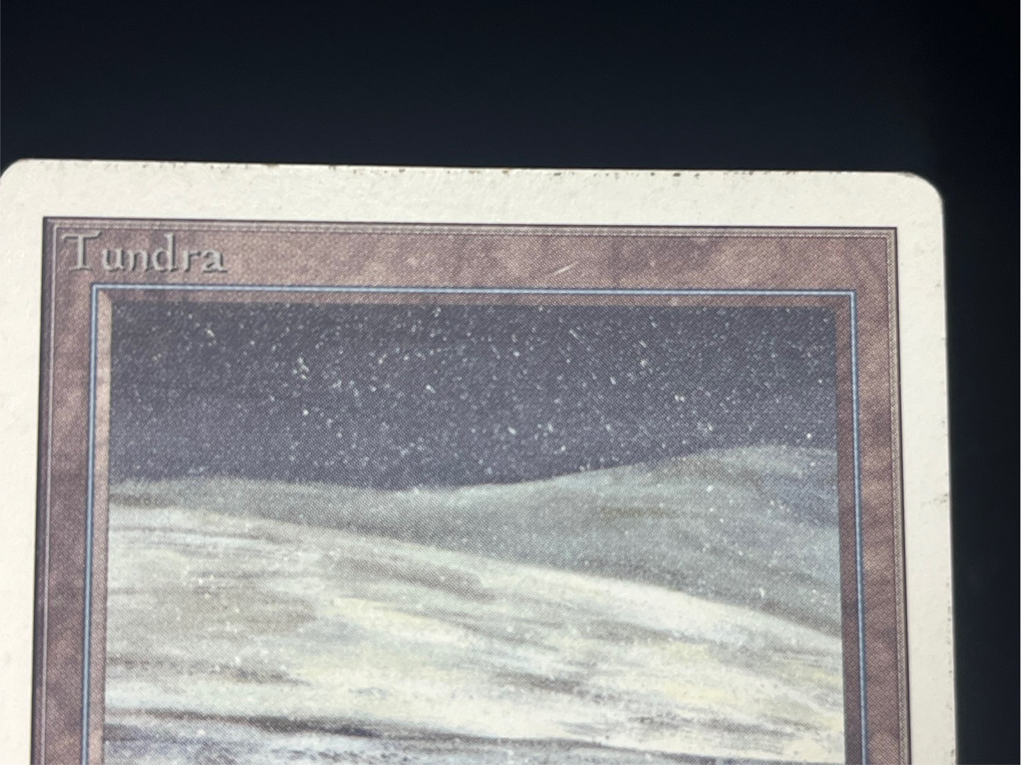 PLD]Tundra《英語》【2ED】#219 - カードラッシュ[MTG]