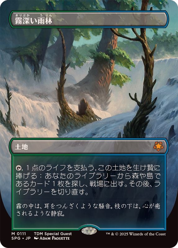 霧深い雨林 日本語 4枚セット MTG 日本語版 ZEN 霧深い雨林4枚セット