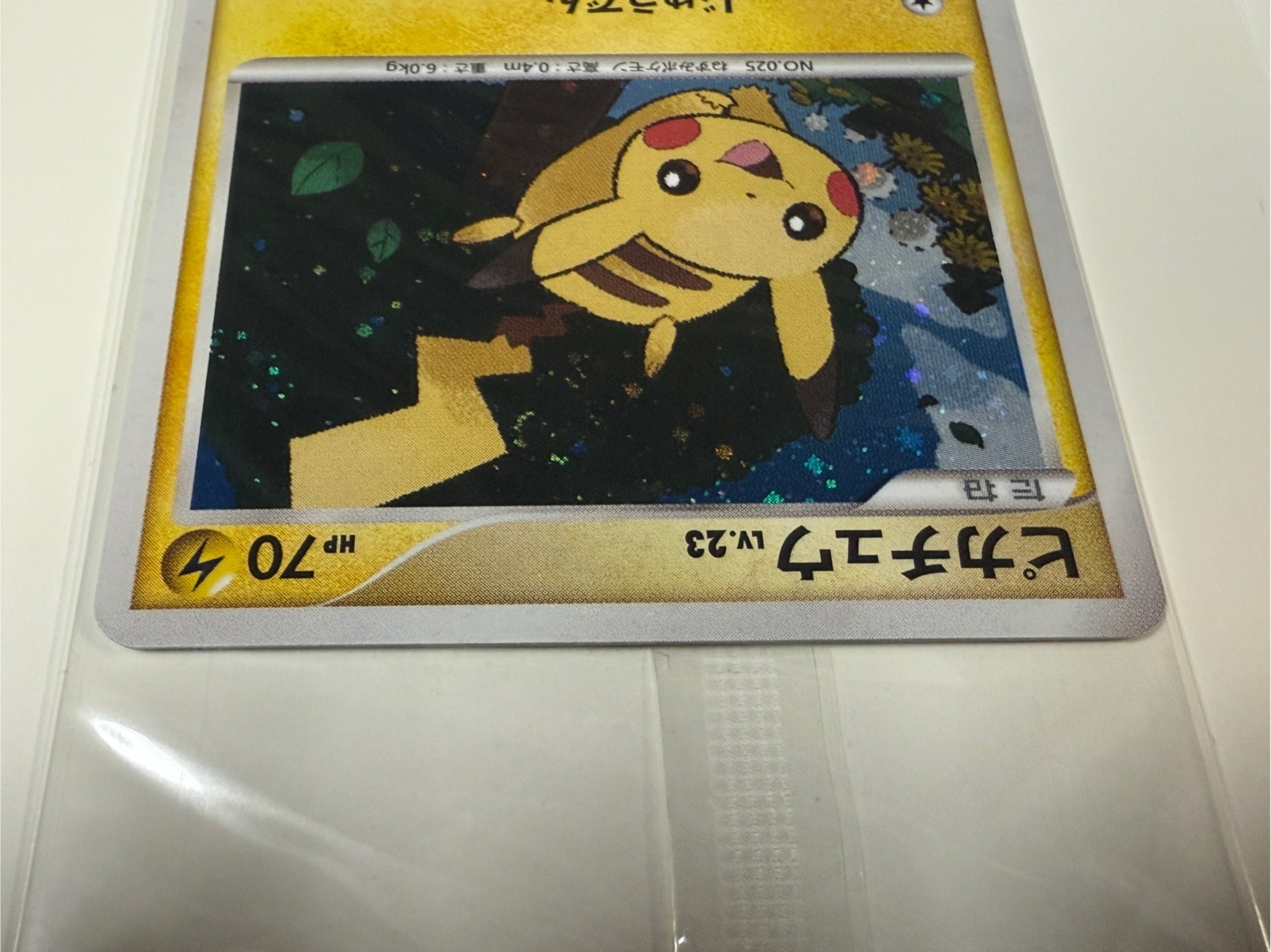 ピカチュウ（台紙付き未開封)【P】{016/DPt-P}