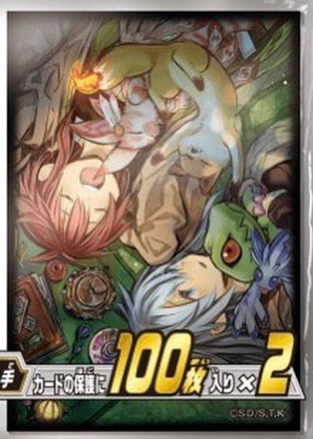 状態A-〕スリーブ『精霊術の使い手(ヒータ&エリア)』100枚入り