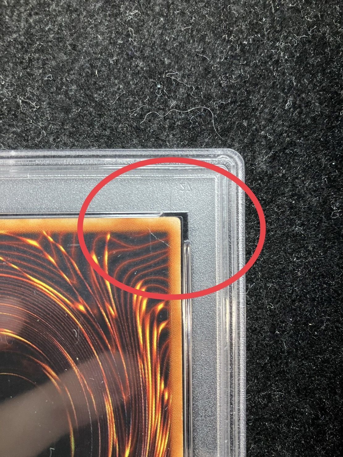 PSA5鑑定済〕青眼の白龍(初期)【ウルトラ】{STARTERBOX}《モンスター》