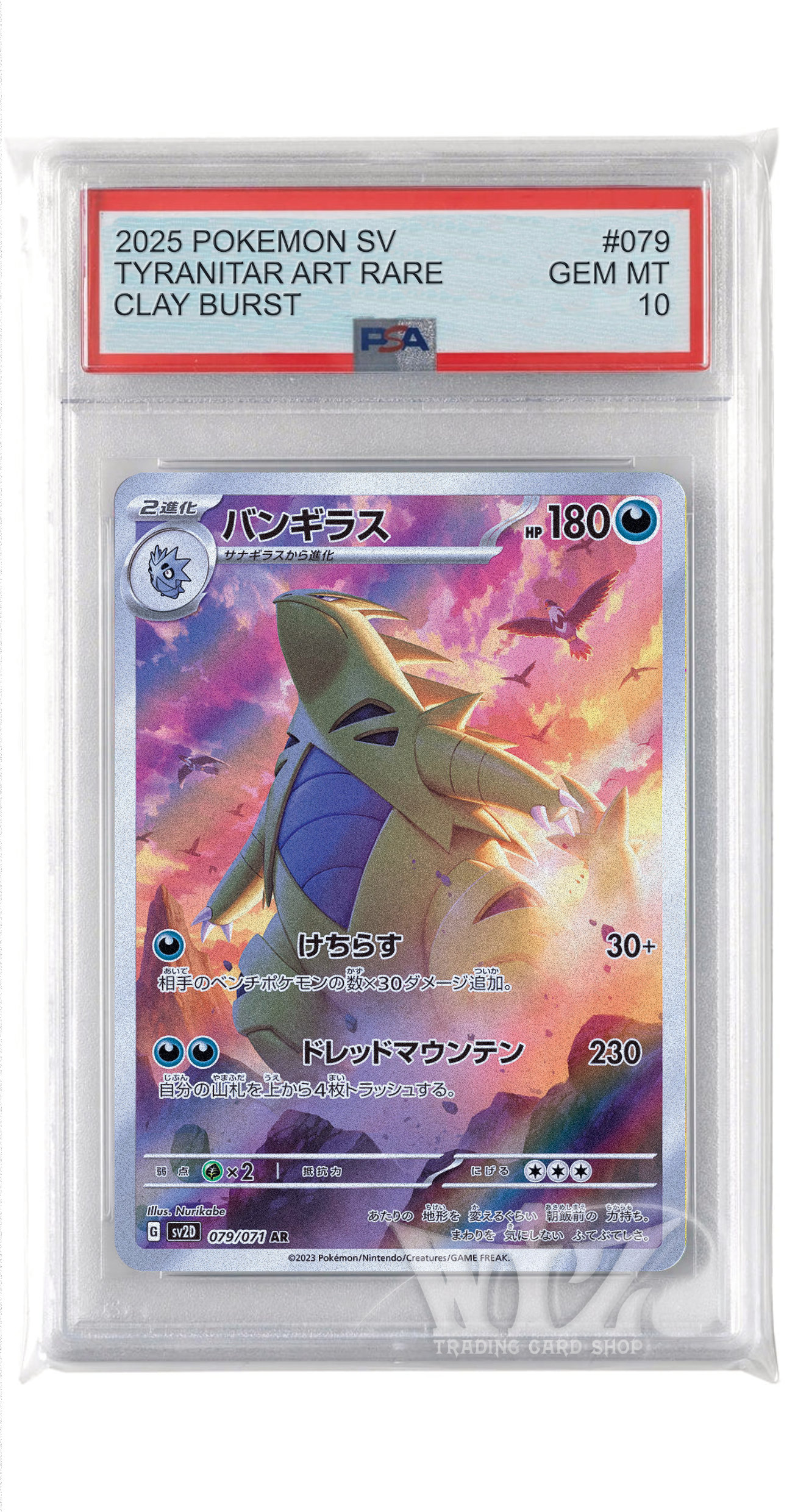 PSA10]バンギラス【AR】〈079/071〉(悪) - カードショップWiZ