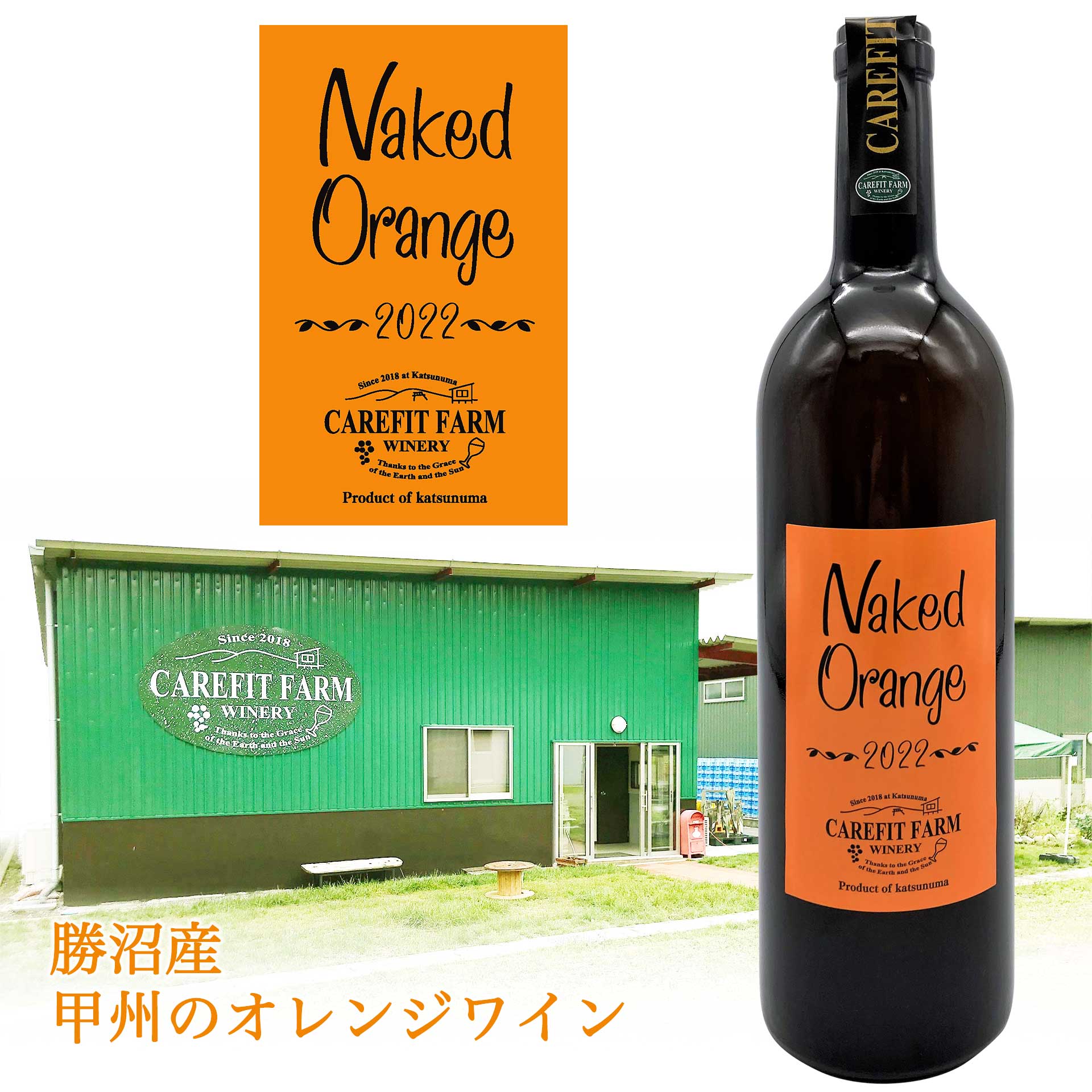 Naked Orange 2022｜公益財団法人 日本ケアフィット共育機構