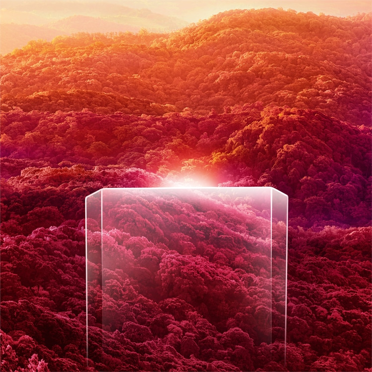 Les Écrins Parfumés Cartier Canopée