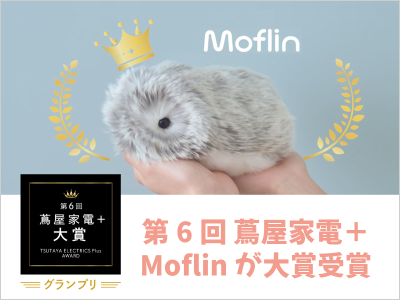 Moflin（モフリン） | CASIO
