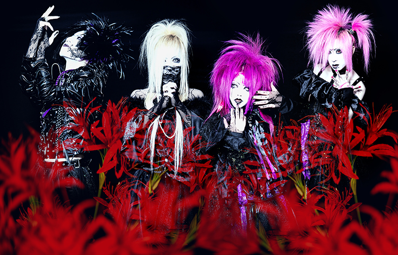 La'veil MizeriA、「47都道府県ツアー」ファイナル公演となる11月20日