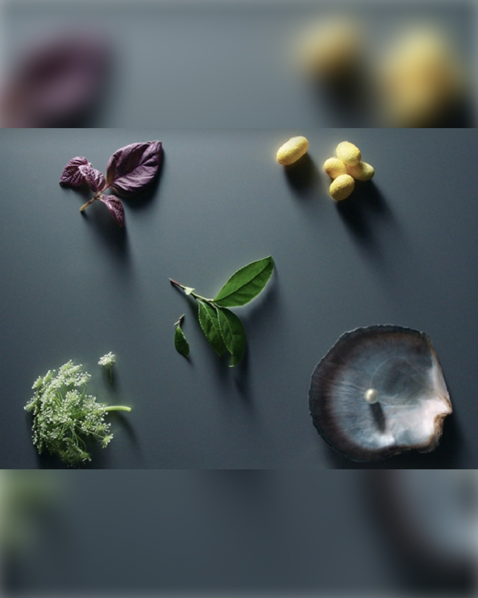 クレ・ド・ポーボーテ ◇ ラ・クレーム 5g ×3 【公式通販】