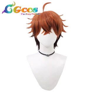 コスプレウィッグ バーチャルYouTuber VTuber 赤城ウェン