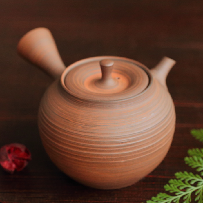 水野博之 窯変朱泥急須 満容量240ml 作家もの常滑焼煎茶器 日本茶中国