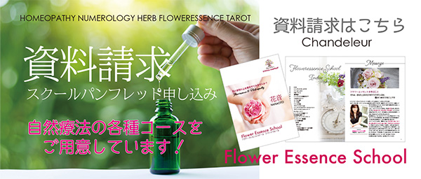 バッチフラワーカードセッション フラワーエッセンスのシャンドゥルール
