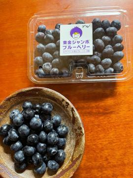 旬のブルーベリーを味わう | 東金市ホームページ