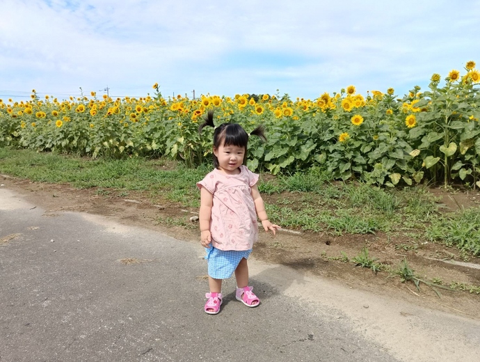 立山to電車toヒマワリ🌻コラボレーション・ギャラリー｜富山市公式