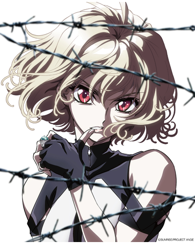 BD/DVD | クロスアンジュ 天使と竜の輪舞