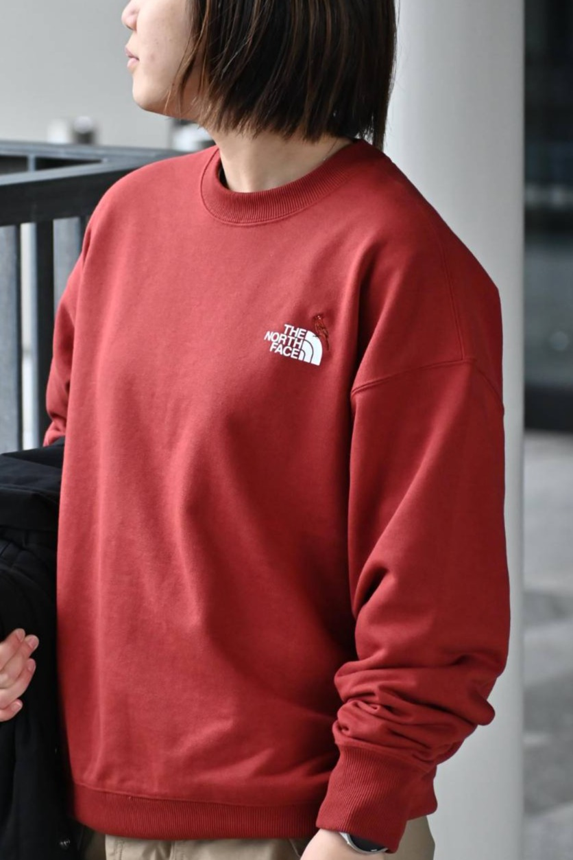 THE NORTH FACE🏕【トレーナー】 │ザ・ノース・フェイス プラス