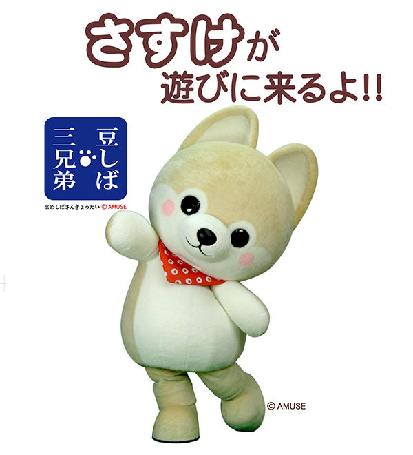 ☆年末年始☆豆しば三兄弟 さすけのイベントの情報！｜豆しば三兄弟