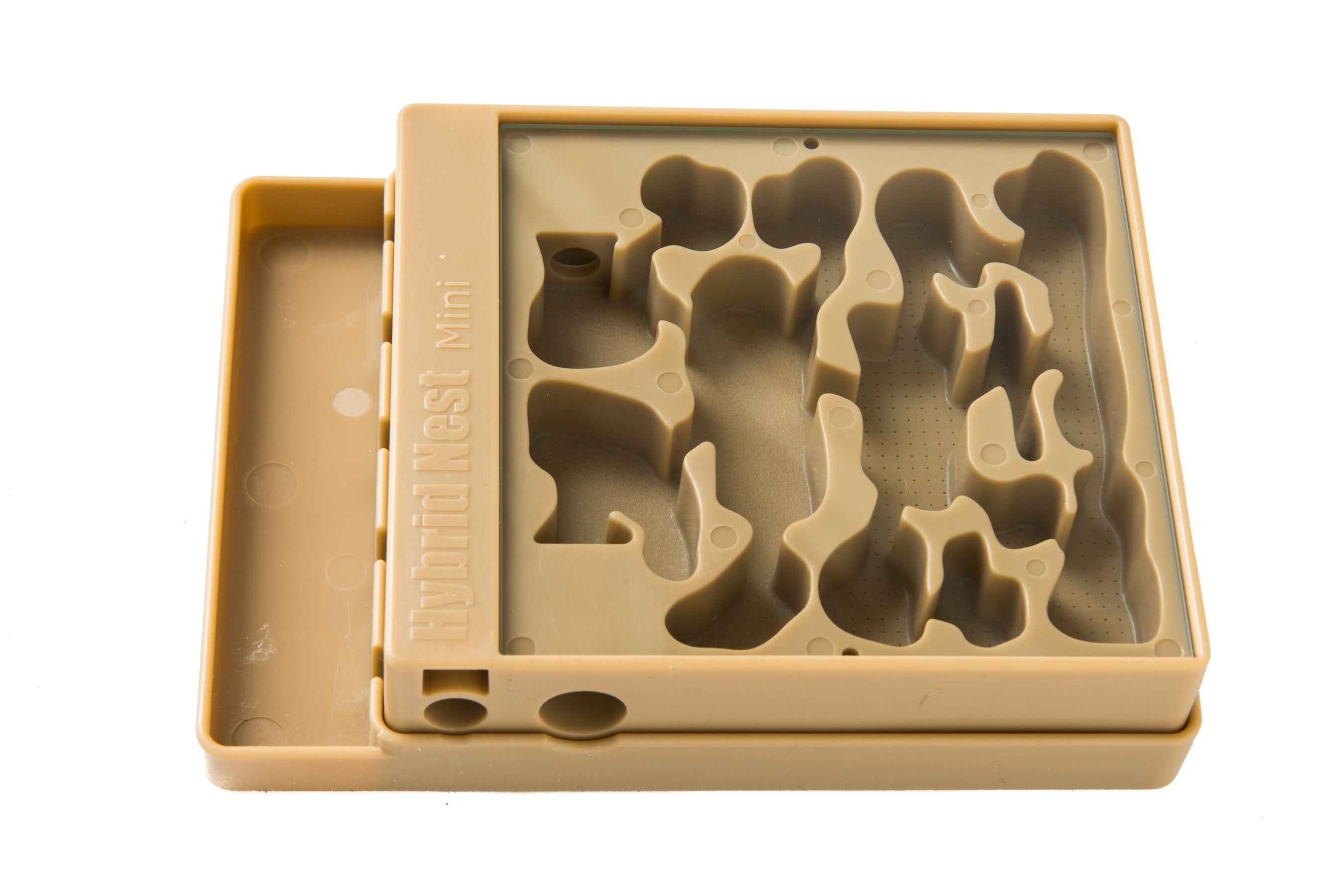 Hybrid Nest Mini™ 2.0 – AntsCanada