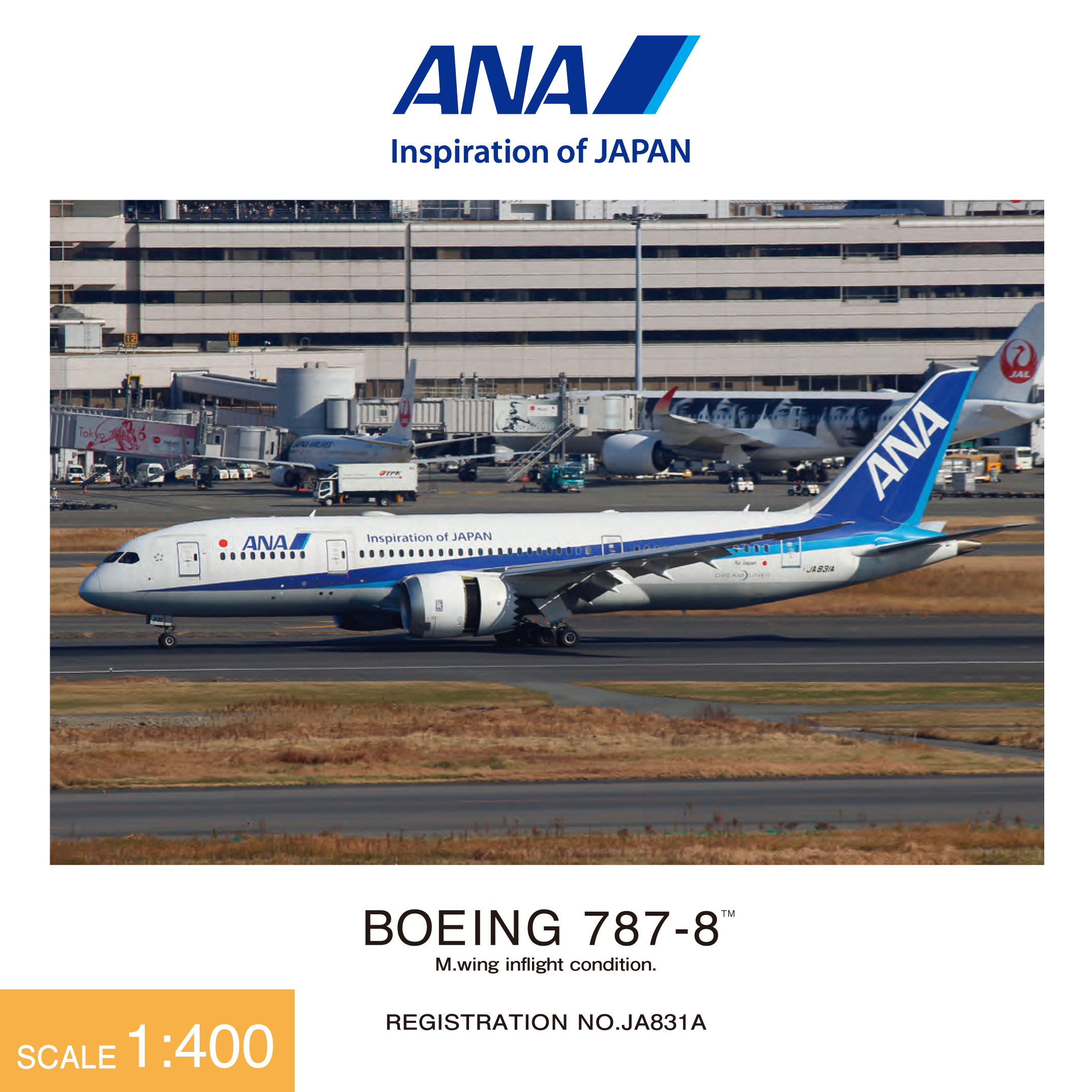 NH40116 1:400 BOEING 787-8 JA831A ABS樹脂完成品（ギアつき