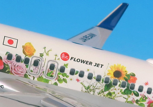NH20148 1:200 BOEING 737-800 JA85AN 東北FLOWER JET ABS樹脂完成品