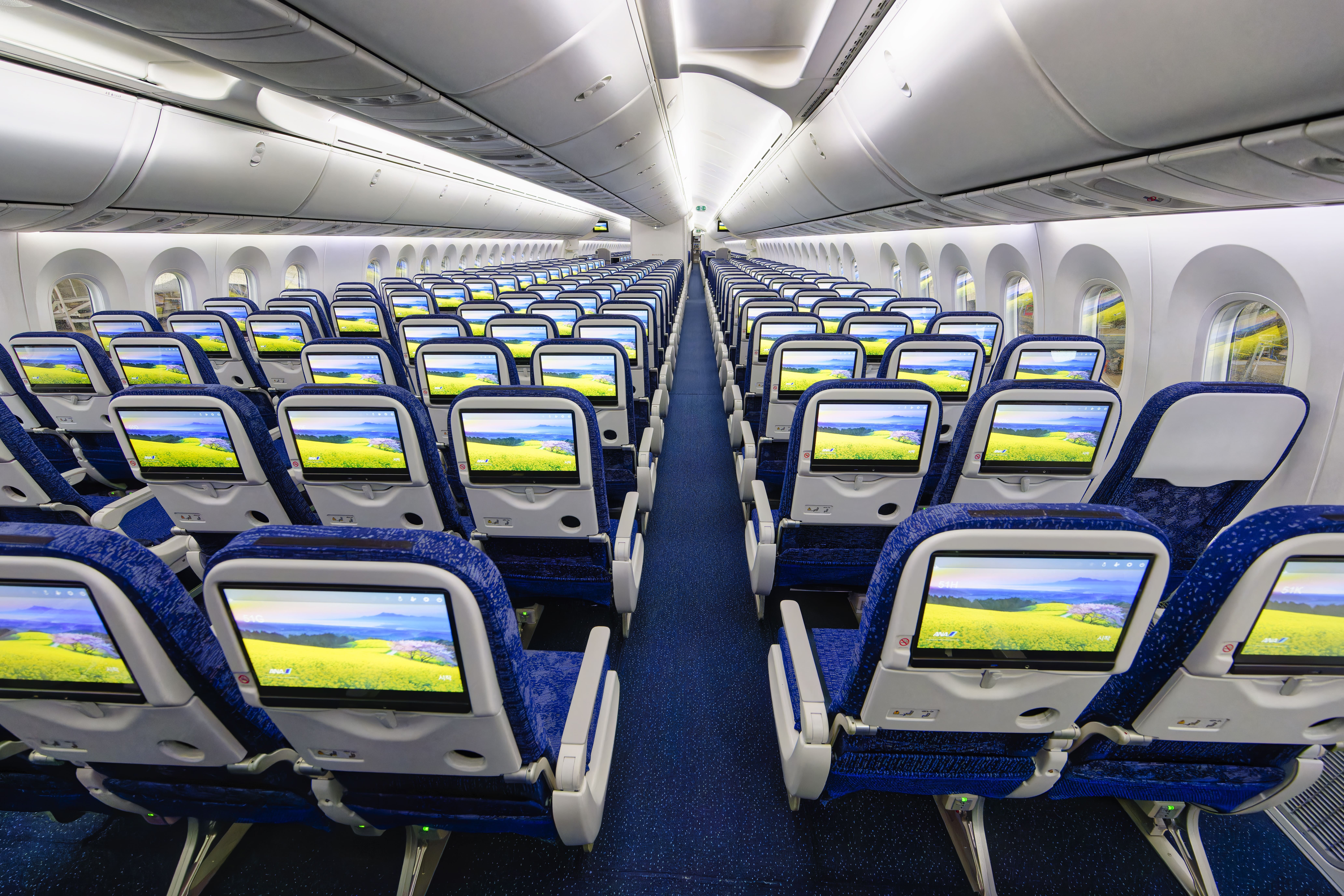 国内線次世代フラッグシップ” ボーイング787-10 型機就航！｜LIVE ANA