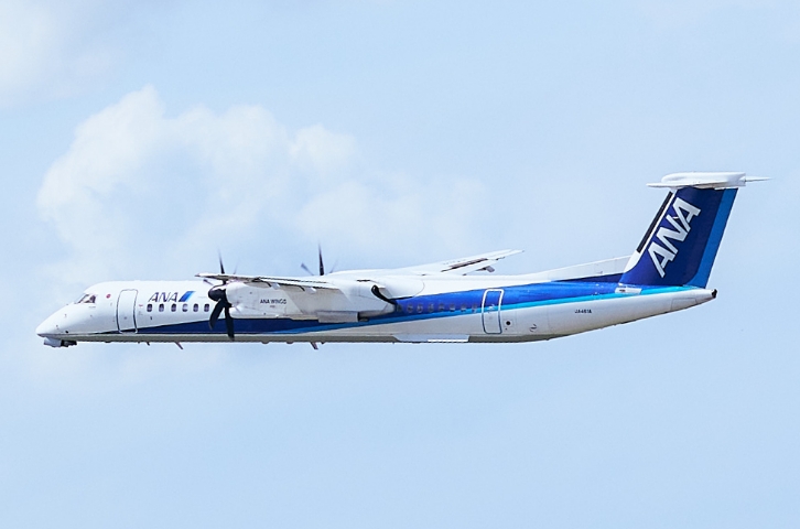花柄塗装機 DHC-8-300 5機セット 全日空商事 1/500 花柄塗装機 DHC-8