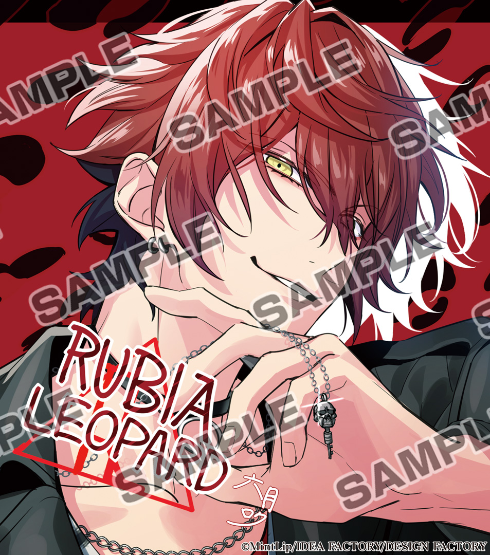 DIG-ROCK ディグロ 茜 AKANE セット 83)ディグロ DIG-ROCK 日暮 茜