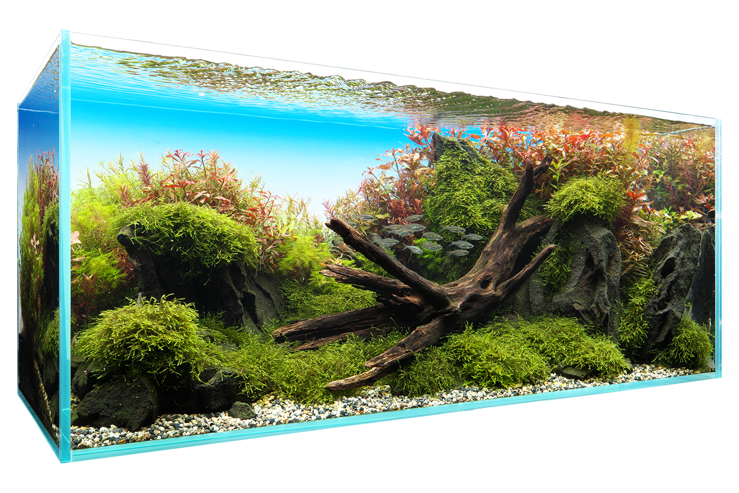 CREATOR WORKS［ ウッドストーリー ］ | AQUA DESIGN AMANO