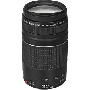 canon-ef-75-300mm-f4-