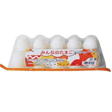 JAうすきたまごファーム みんなのたまご 10個入 | イオン九州のネット