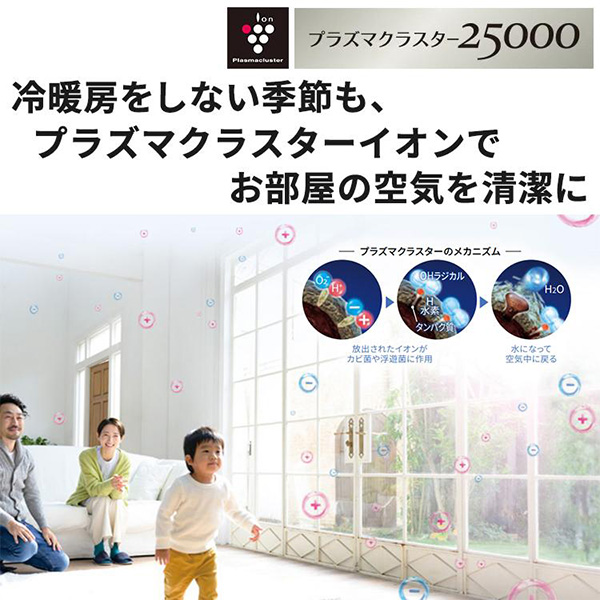 AY-S25V-W シャープ ルームエアコン Vシリーズ 主に8畳用 ホワイト