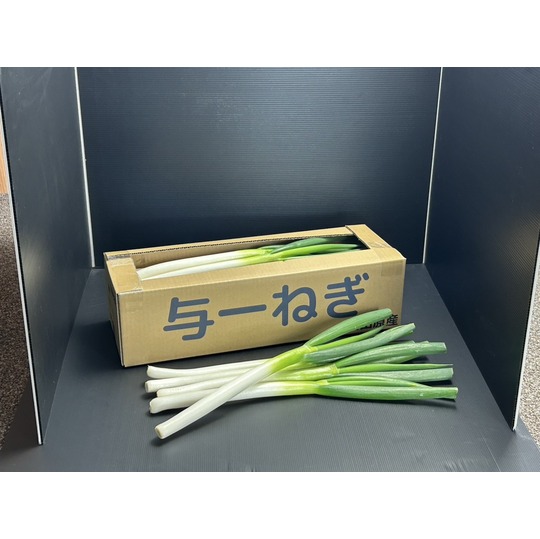 大田原ブランド認定品： 与一ねぎ 阿久津農園｜オリジナルブランド