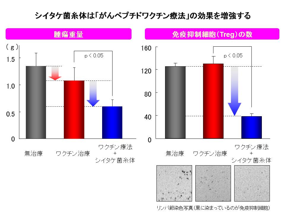 特集記事】がんの再発・転移予防には免疫力が大切 | 再発転移がん治療情報