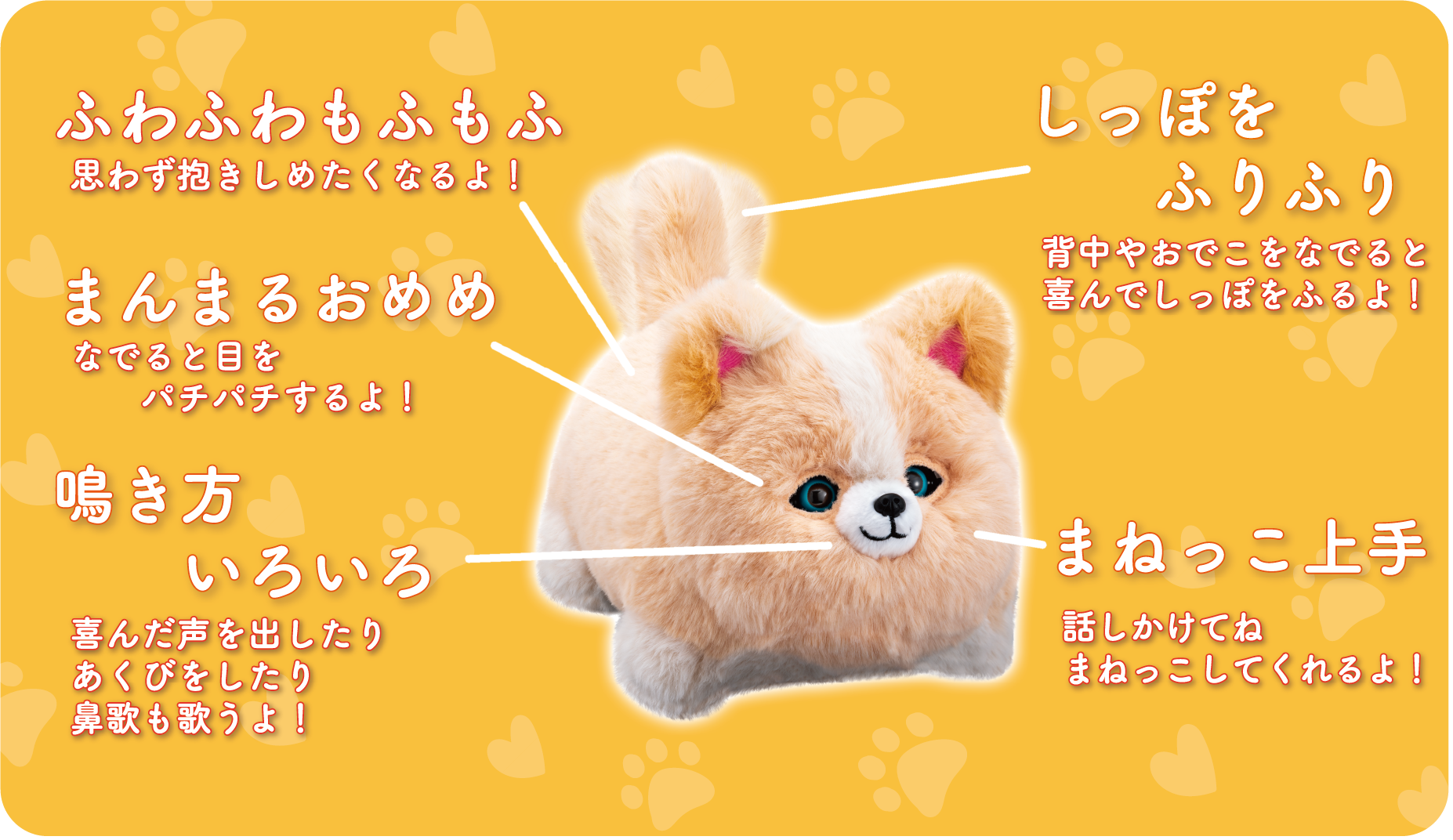 ニャンだきみは！？ ワンだきみは！？｜PINOCCHIO｜株式会社アガツマ