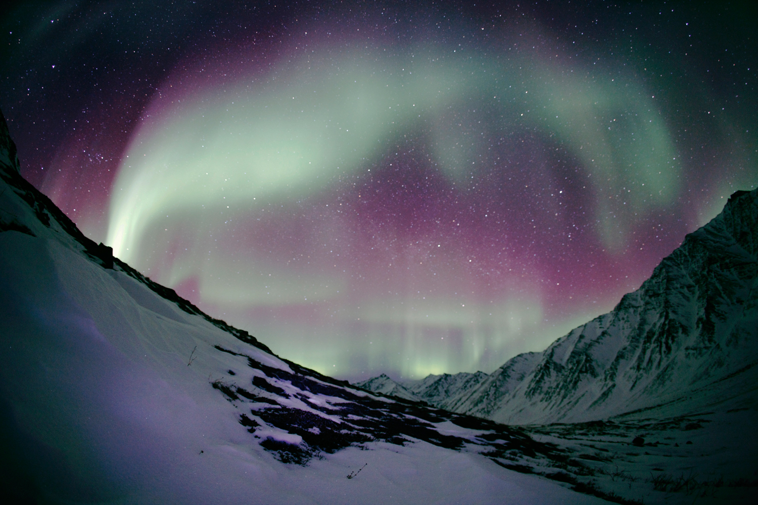 雪山に舞う光の不死鳥 アラスカのオーロラ報告