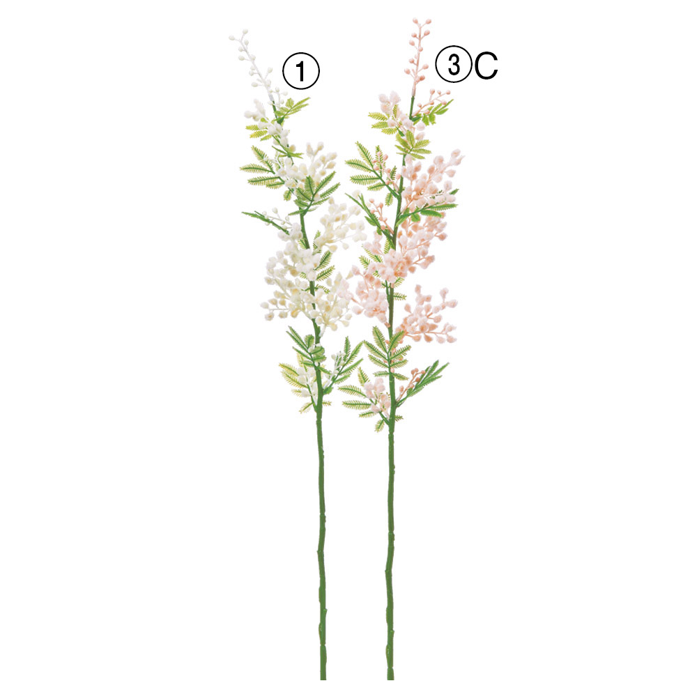 サンフラワー｜商品案内｜株式会社アスカ商会