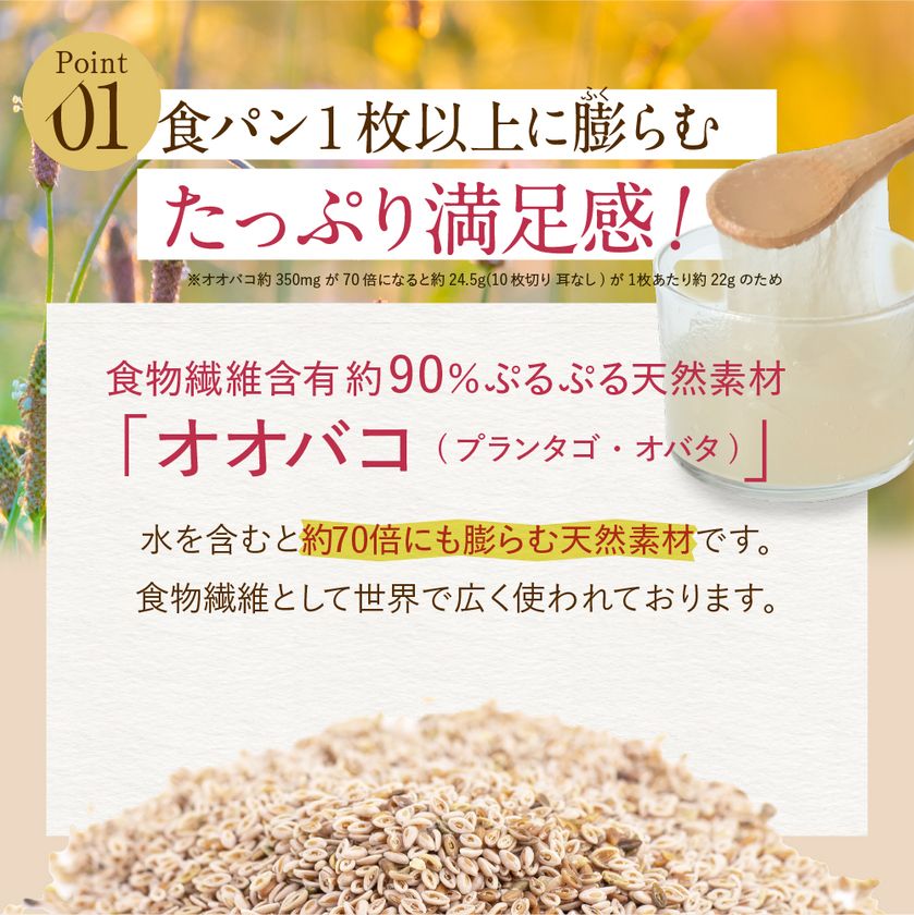 新感覚チュアブルタブレット型 置き換えダイエット 「MITASLAT