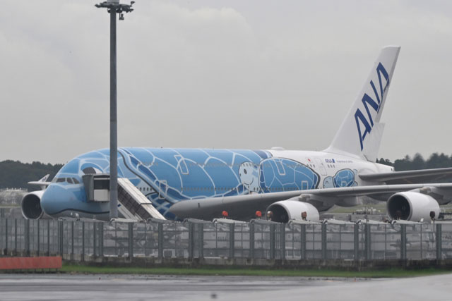 ANA A380初号機が運航復帰 ホノルルで貨物コンテナ接触、16日ぶり