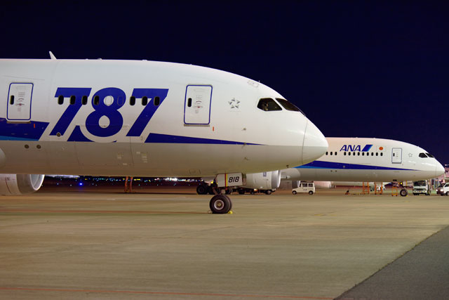 ANA、最後の787ロゴ塗装機公開 通常塗装に統一へ