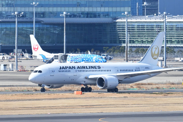 金の鶴丸ロゴ、787で復活 JALが期間限定運航へ