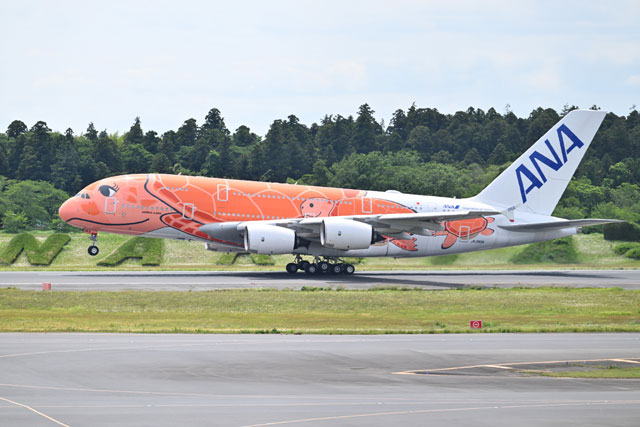 ANA、A380 3号機10/20就航 日本到着2年で初の商業運航へ