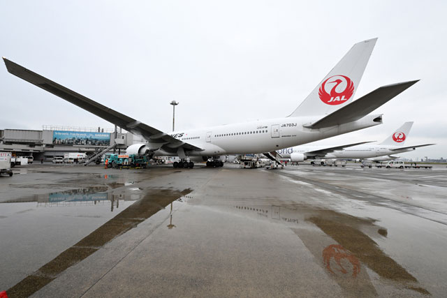 JALの777-200ERと-300ER、羽田2機種並びも最後 駐機場に鶴丸鏡映し