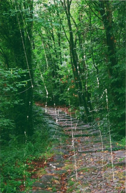 WAKO WORKS OF ART - ART iT（アートイット）