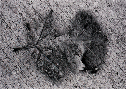 石元泰博写真展 水戸芸術館敷地内 現代美術ギャラリー ::: アート