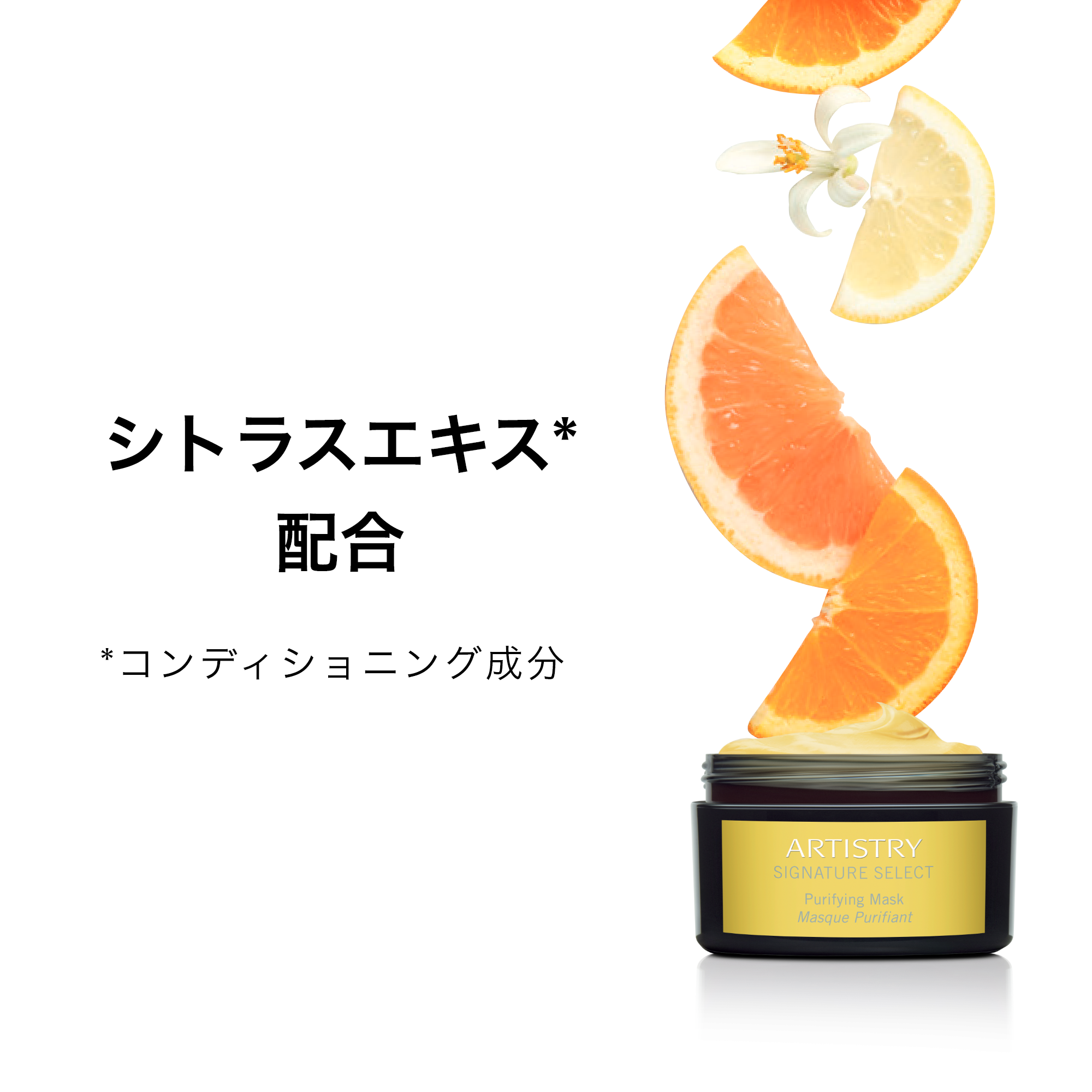 パーソナライズ マスク シーバムクリア マスク | アーティストリー